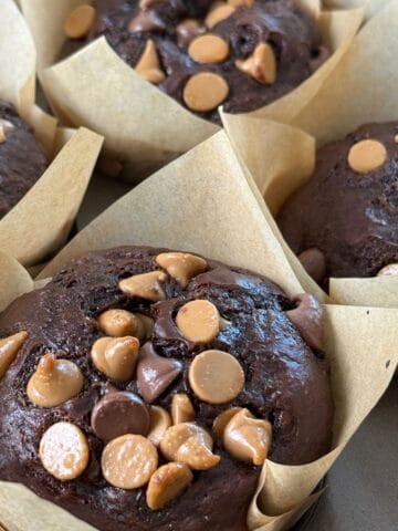 Chocolate Peanut Butter Protein Muffins