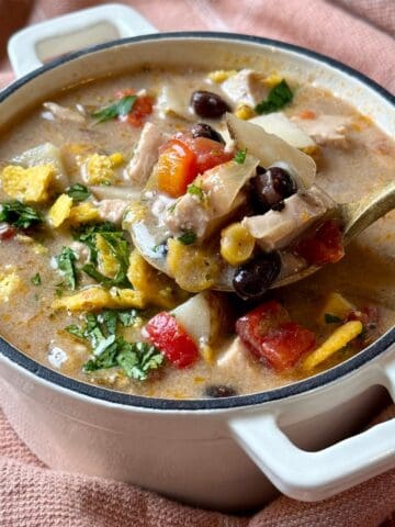 High fiber chipotle black bean chicken soup